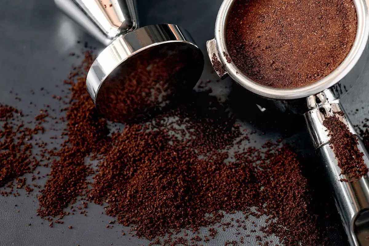 Le 7 piante da curare con il fondo di caffè: la lista completa