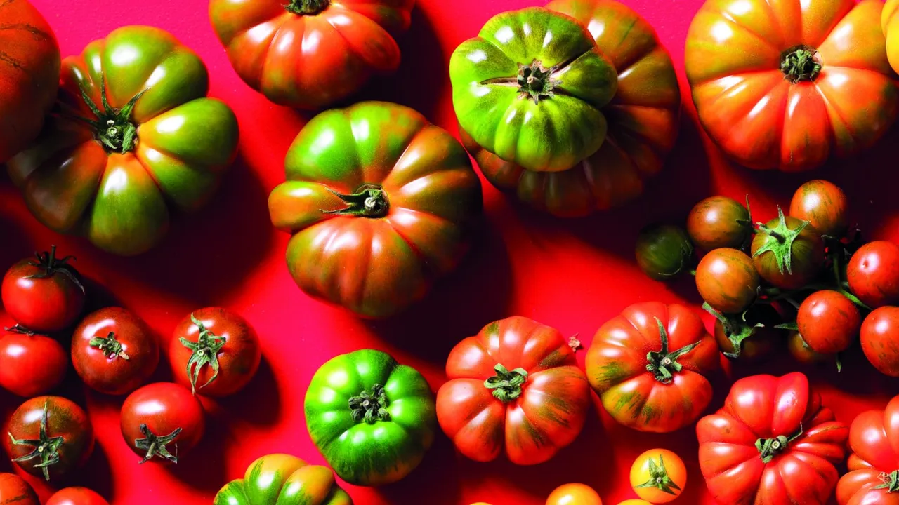 I tuoi pomodori non maturano? Ecco il trucco dell’orto per accelerare il processo