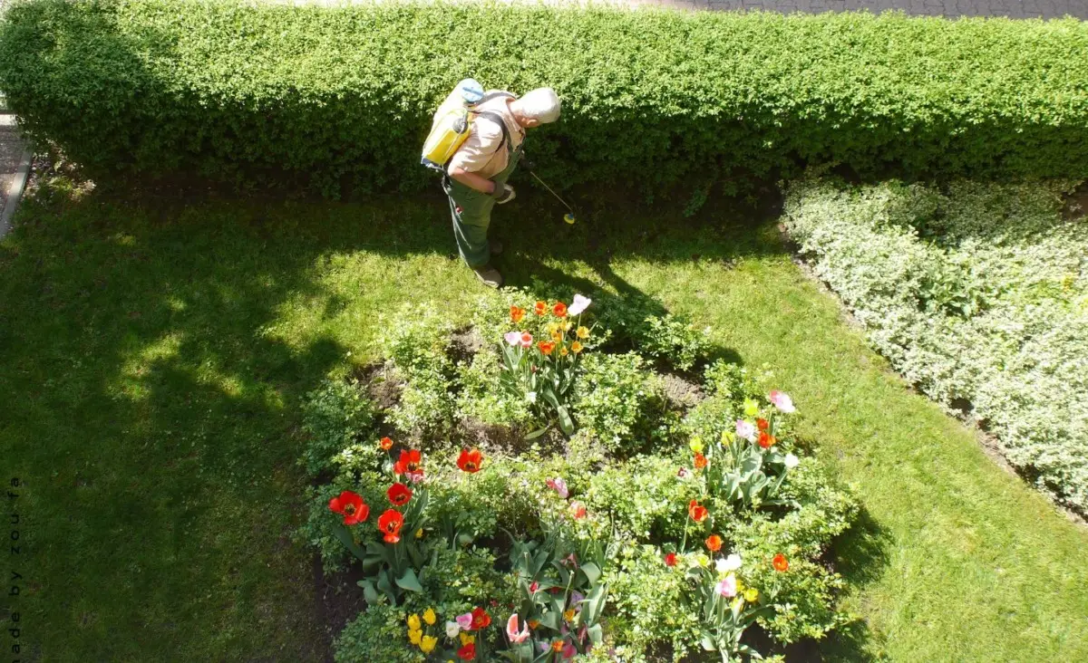 Non dire “giardiniera”: ecco qual è la forma corretta del femminile che tutti sbagliano