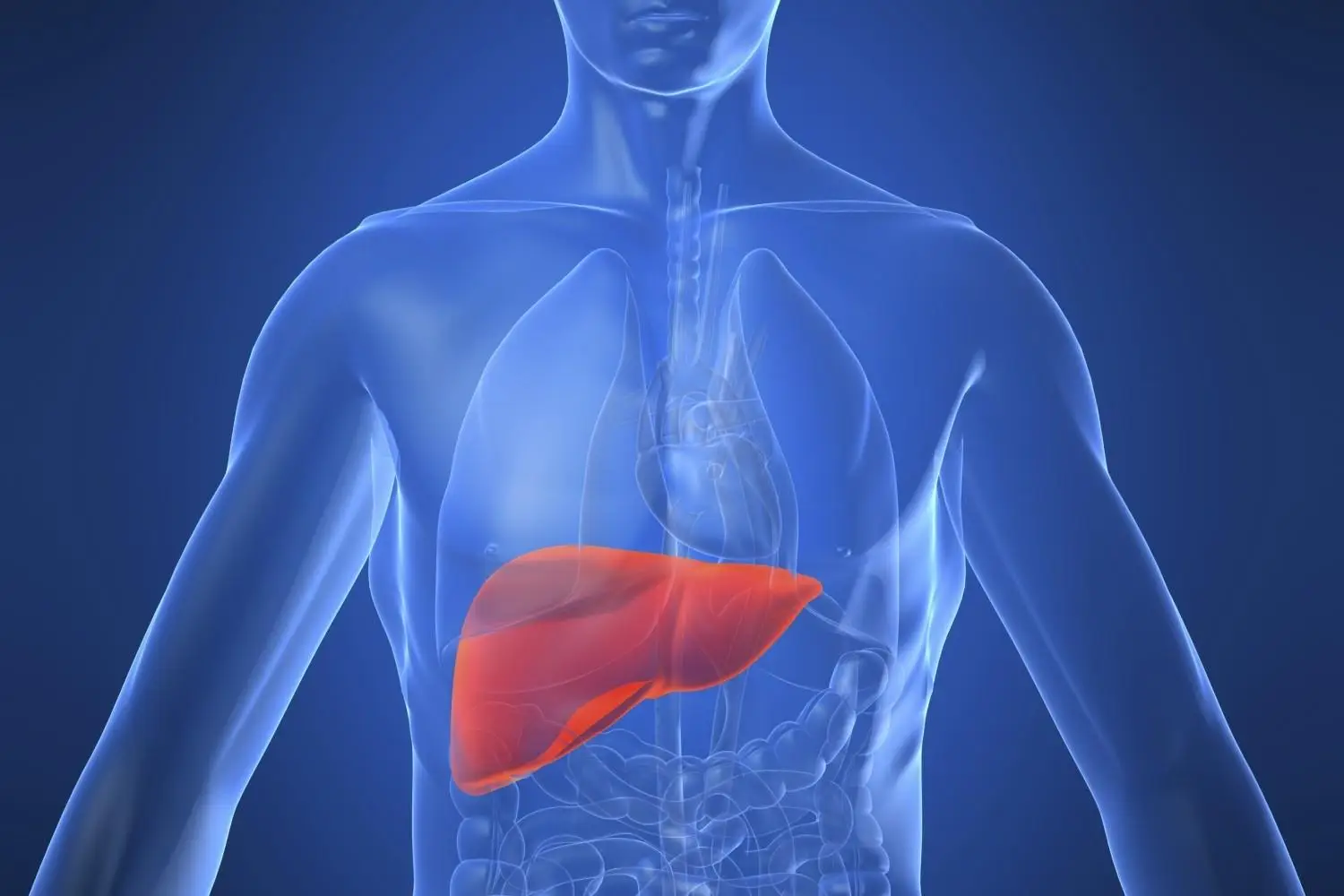 Il metodo naturale per ripulire il fegato dalle tossine e sentirsi subito più leggeri