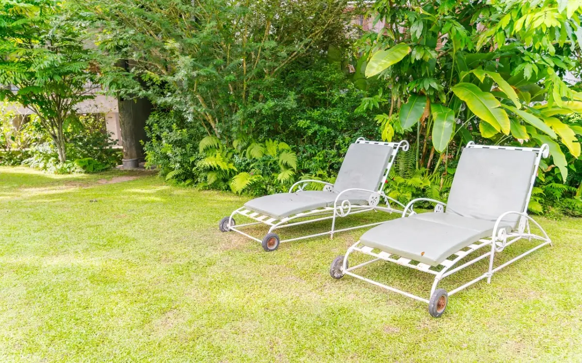 Non solo estetica: ecco perché avere un giardino è fondamentale per la tua salute e la tua casa