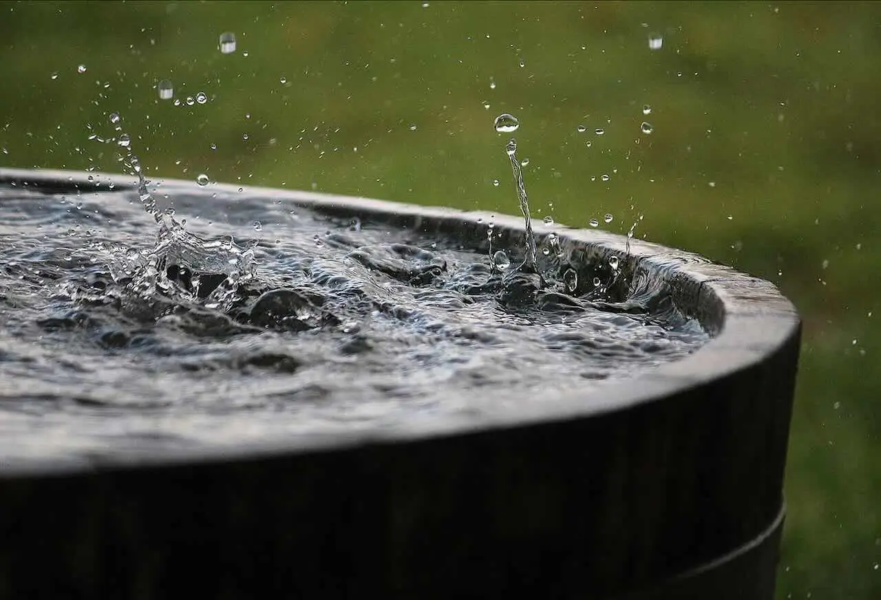 Come si fa a costruire un sistema di raccolta dell’acqua piovana? Un risparmio per il giardino