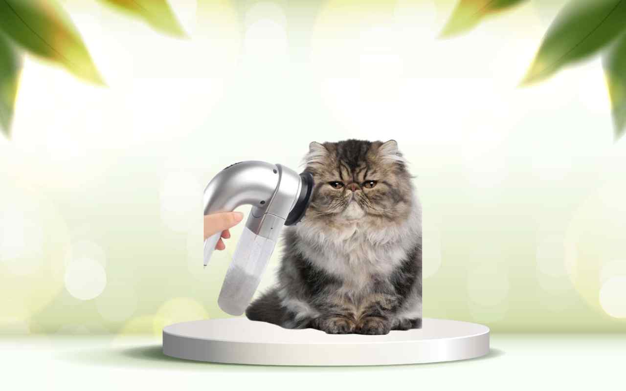 Scopri come eliminare i peli degli animali in casa con SpazzolAmica, prova ora