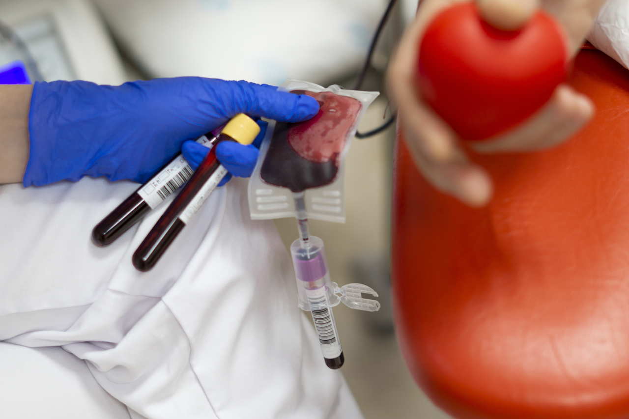 Quali sono le regole per la donazione di sangue e di organi? Chi può donare
