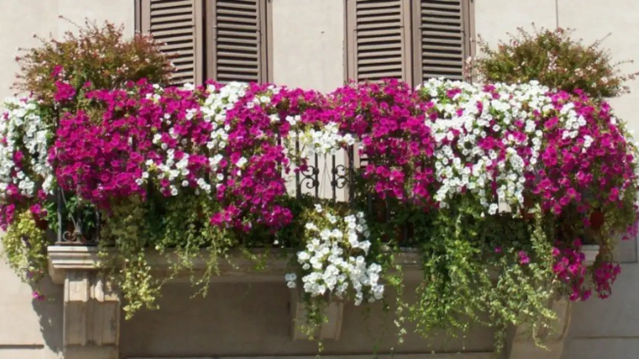 Non mettere solo fiori nelle fioriere: ecco le idee sorprendenti per decorarle tutto l’anno