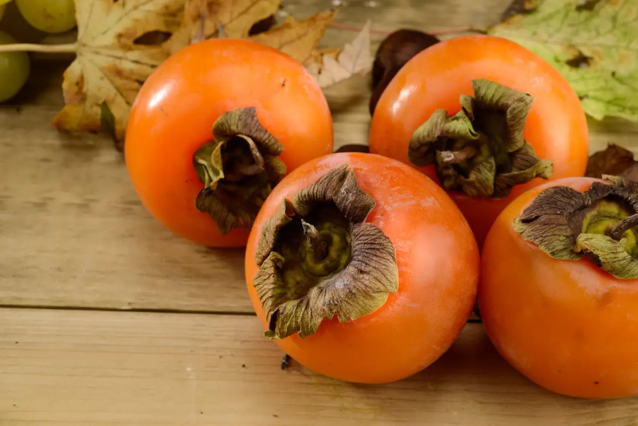 Il tuo albero di cachi non fa frutti? Ecco il possibile motivo e come intervenire